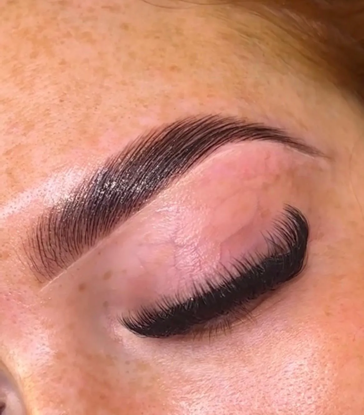 Ciara Daly Beauty Sydney — brow and lash lift detail