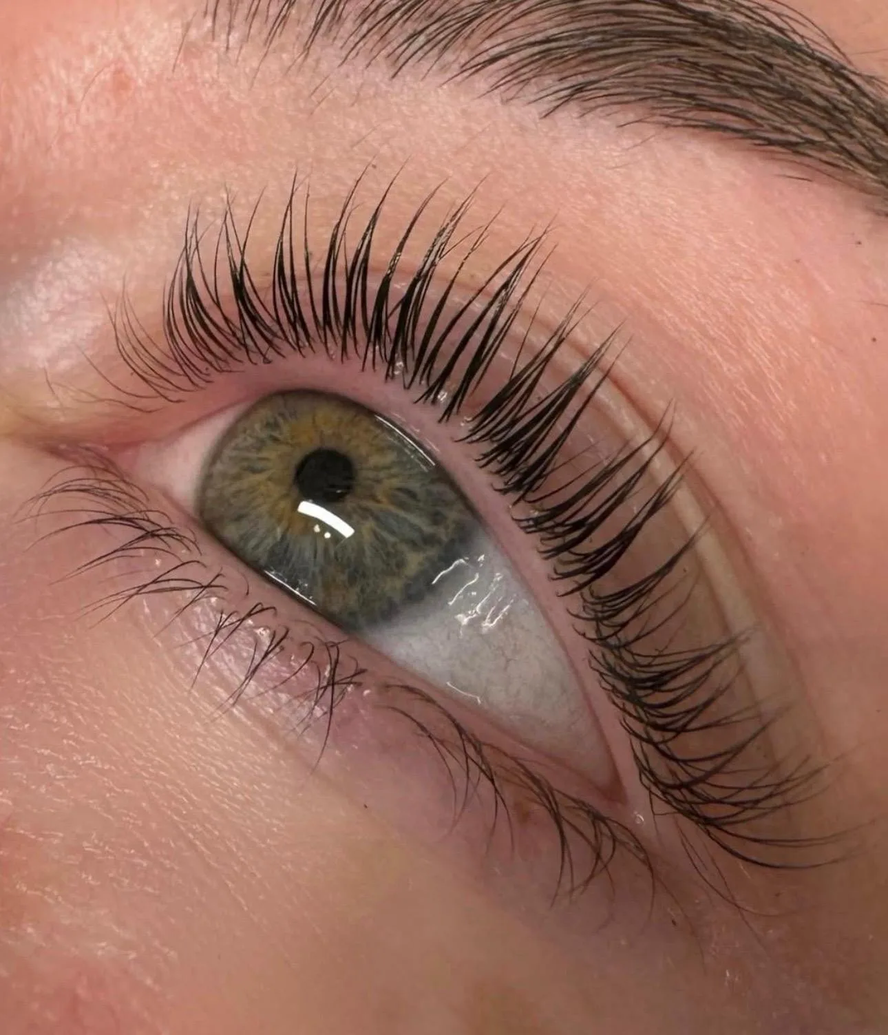 Lash lift and tint result — natural lifted lashes by Ciara Daly Beauty Sydney