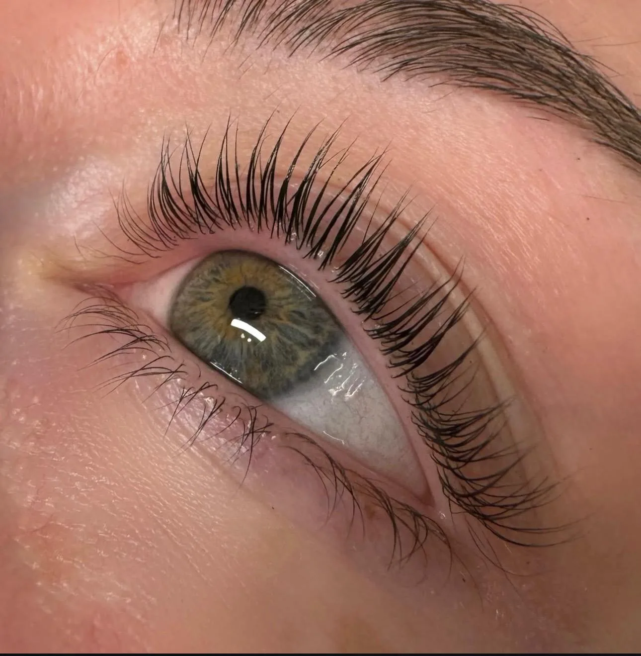 Lifted natural lashes close-up — Lash Lift and Tint Course by Ciara Daly Academy Sydney